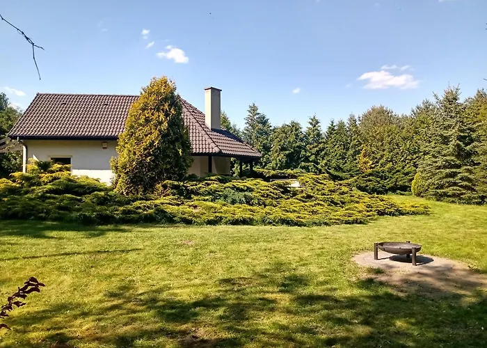 Niedzwiady Male 14 B *