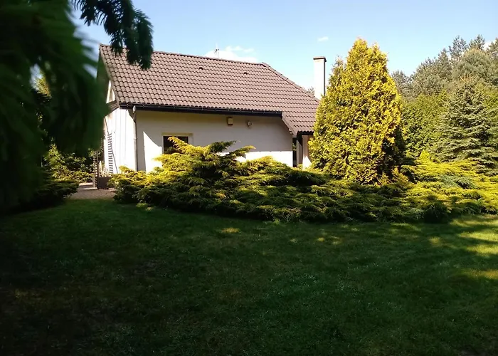 Niedzwiady Male 14 B * Ślesin